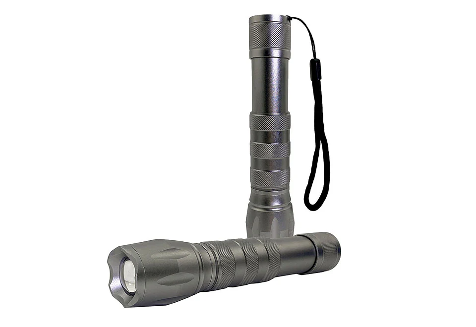 2-in-1 Flashlight Bug Zapper