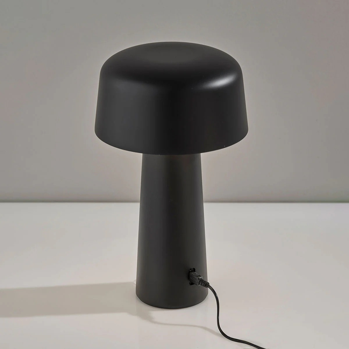 Cordless Indoor/Outdoor LED Diffused Light Table Lamp - Image 4
